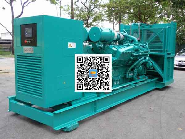 岱山租赁发电机-康明斯发电机性价比还是比较高的